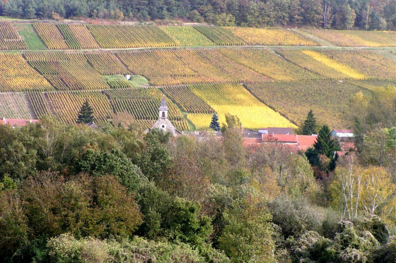 Un Coin De Foret Courmas Zewnętrze zdjęcie